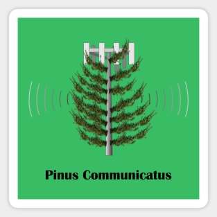 Pinus Communicatus Magnet